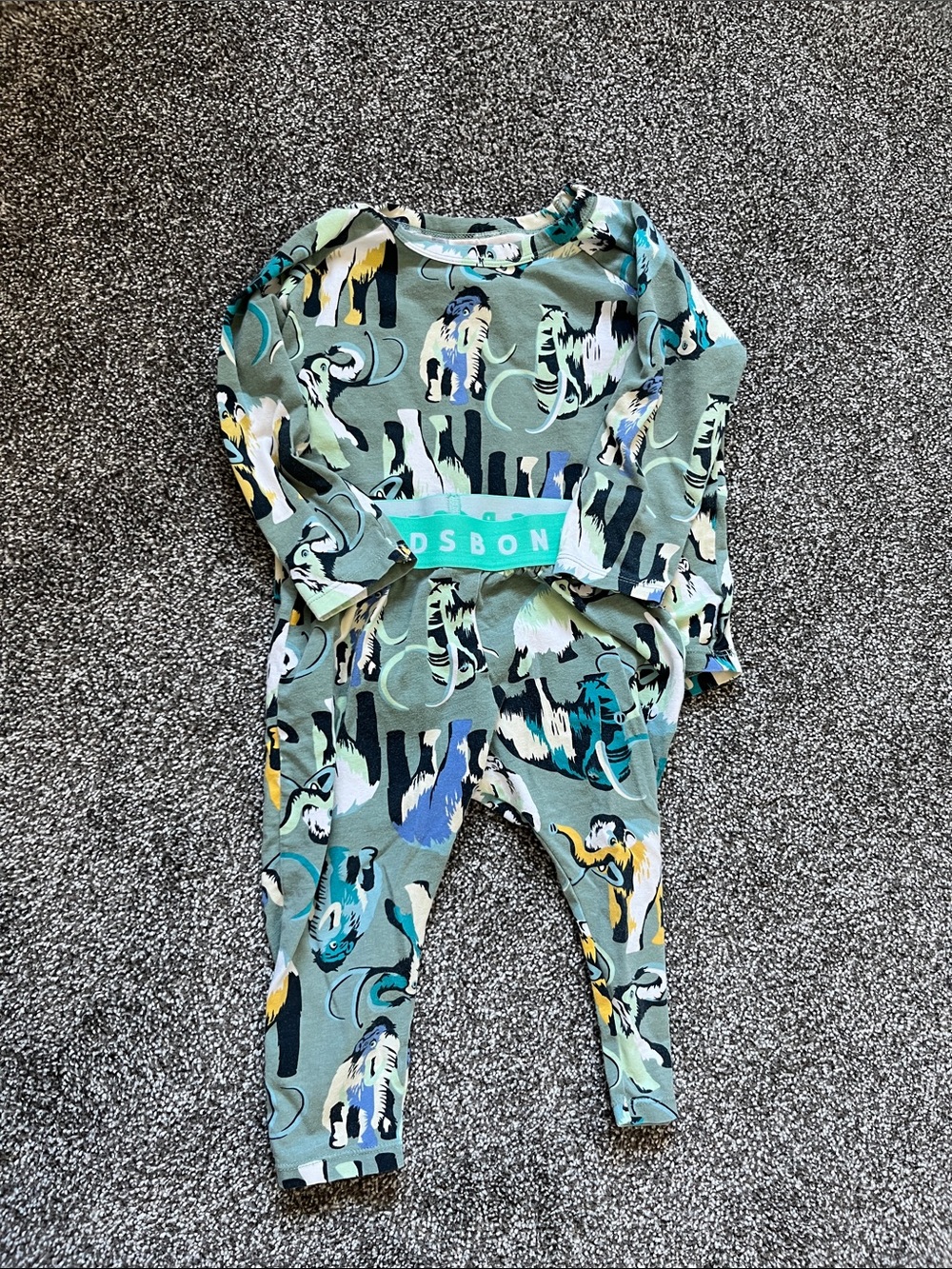Bonds Kids jammies - Green with Blue, Yellow & Black Elephant Print